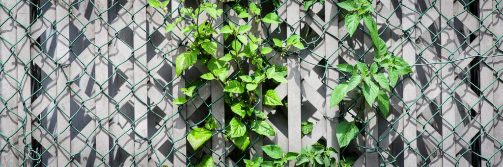 Detail of the city Luik